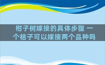 柑子树嫁接的具体步骤 一个桔子可以嫁接两个品种吗